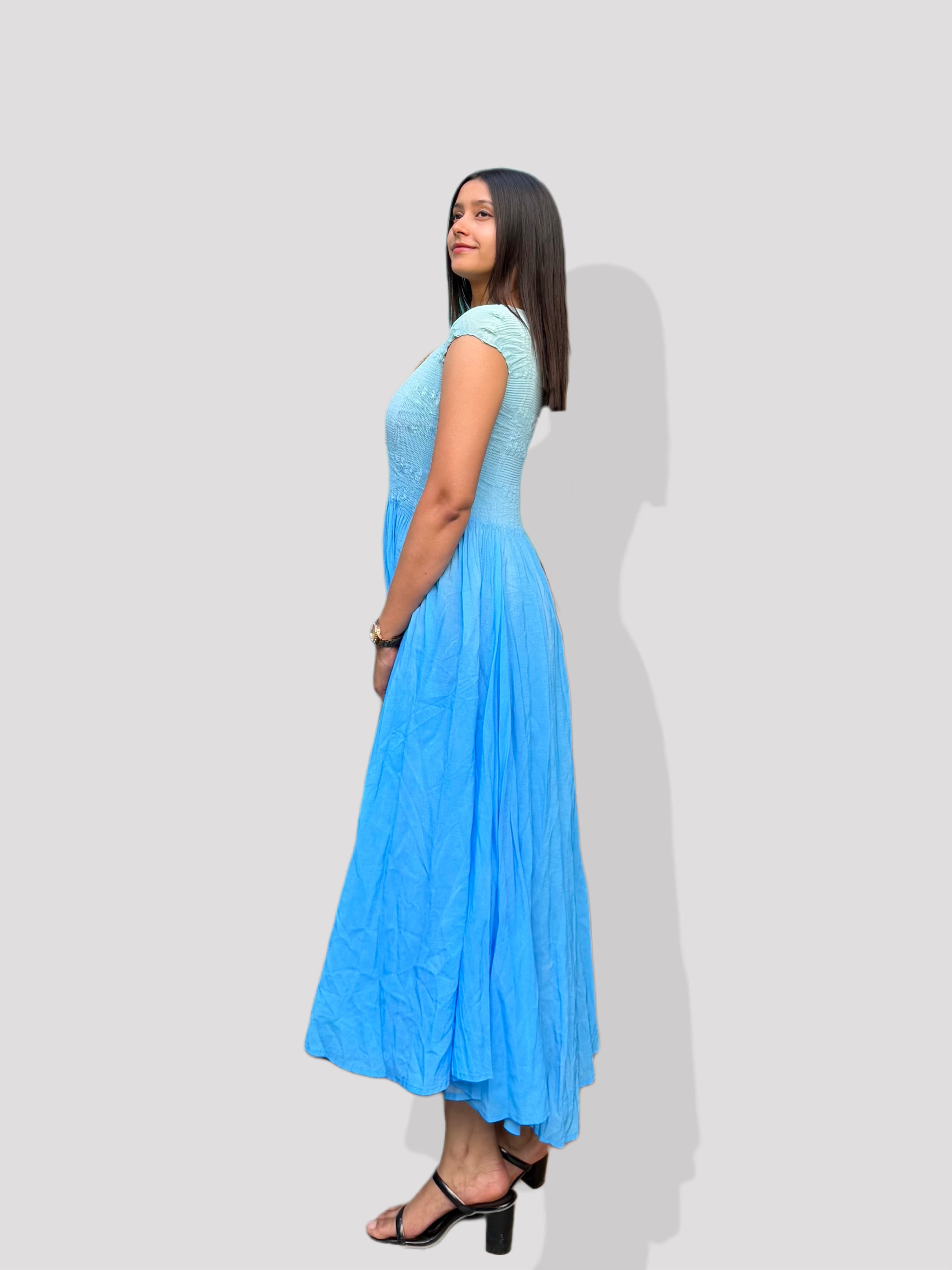 Isabel Flare Dress- Blue