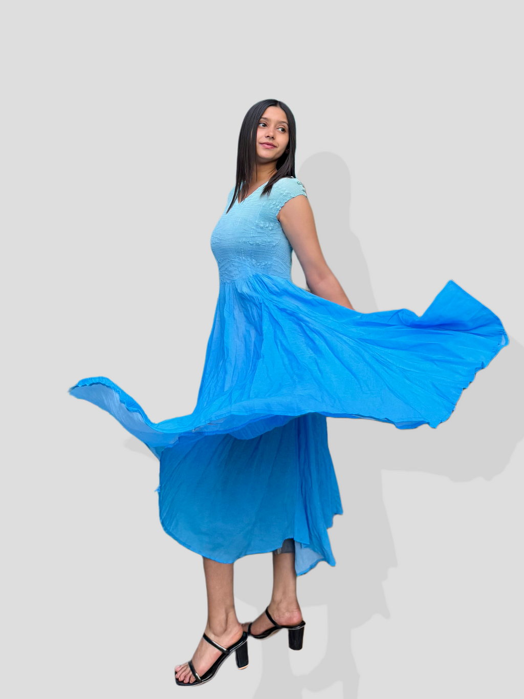 Isabel Flare Dress- Blue