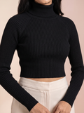 Aurelia Knit Turtleneck Top